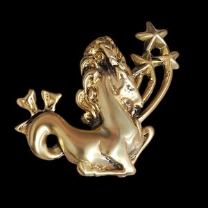 Rare Tortolani Sagittarius Brooch